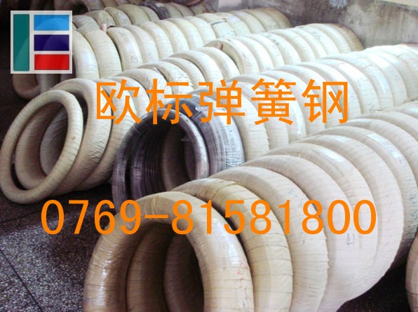 歐標(biāo)代理進(jìn)口耐高溫彈簧鋼線65Mn 耐腐蝕彈簧鋼板SK5 進(jìn)口彈簧鋼價格行情