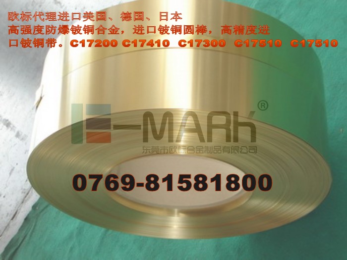 進口鈹銅合金C17200 高強度合金鈹銅材料 進口高質量鈹銅棒