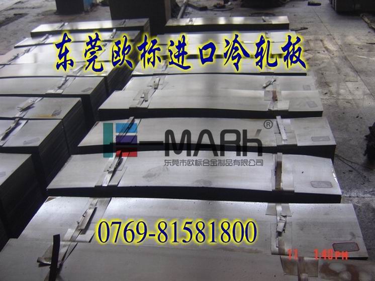 德國冷軋板卷DIN50103-2 進口優(yōu)質冷軋帶 光亮冷軋板