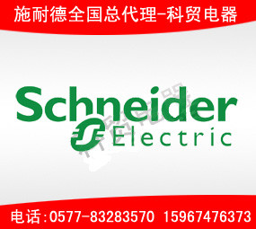 專業(yè)生產(chǎn)施耐德LC1-D80交流接觸器