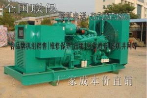 岑溪300KW發(fā)電機(jī)組,岑溪300KW柴油發(fā)電機(jī)組價(jià)格