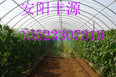 蔬菜大棚骨架機(jī)，安陽豐源農(nóng)業(yè)大棚骨架機(jī)