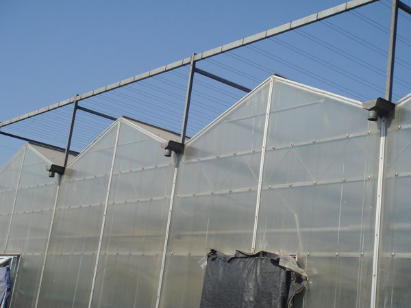 邢臺(tái)陽光板溫室大棚，邢臺(tái)陽光板大棚陽光板廠家直銷