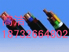 找優(yōu)質(zhì)阻燃交聯(lián)電纜規(guī)格，阻燃交聯(lián)電纜到【河北天纜】