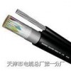 在哪買HYAC線纜 ，HYAC電纜價格，廠家