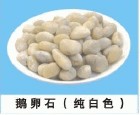 唐山用于工業(yè)污水處理鵝卵石濾料價(jià)格 唐山用于工業(yè)污水處理鵝卵石濾料廠家