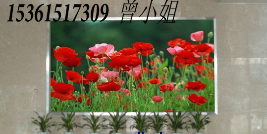 供應性價比最高的P20室內全彩電子顯示屏