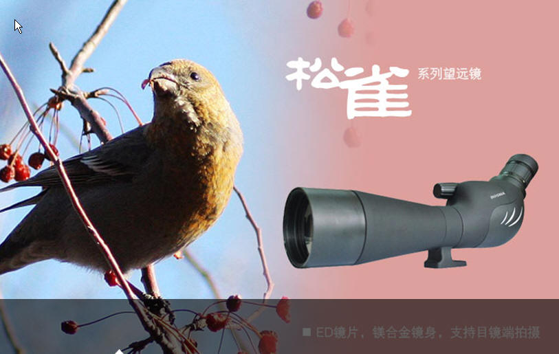 博冠觀鳥鏡松雀 20-60×80 ED