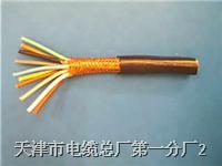 ZR-DJYPV阻燃計(jì)算機(jī)電纜