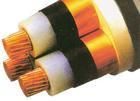 交聯(lián)電力電纜 YJV YJV22 電纜