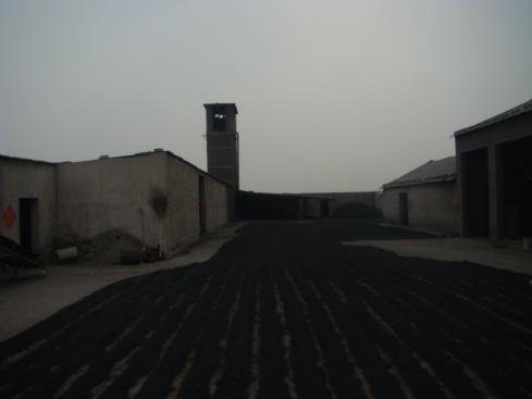 成都煤質(zhì)顆?；钚蕴? title=