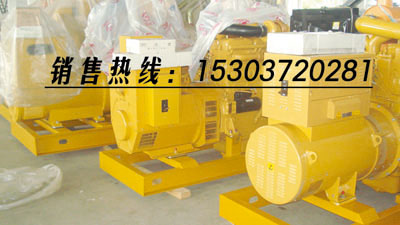 鄭州柴油發(fā)電機,鄭州小型發(fā)電機,鄭州發(fā)電機,鄭州進(jìn)口發(fā)電機