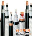 DJFVP，DJFPV，DJFPVP系列耐高溫計(jì)算機(jī)電纜型號(hào)