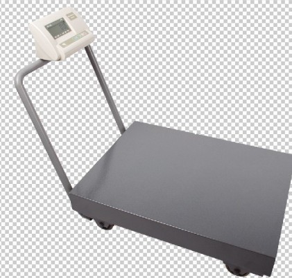 移動式電子臺秤