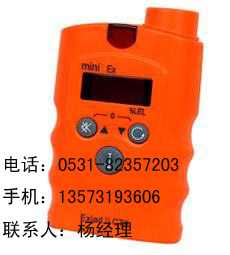 便攜式苯泄漏報(bào)警器，泄漏檢測儀
