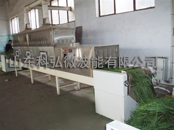 科弘微波大棗，葡萄干烘干殺菌設(shè)備
