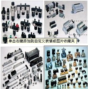 3PA110-M5-3，ADK11-20A-02C-AC220V，SCM-00-