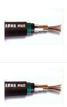 HYA23通訊電纜地埋通訊電纜HYA23電纜在線報價
