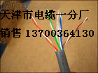 大連廣播通信電纜銷(xiāo)售，大連HPV大連廣播通信線(xiàn)價(jià)格，