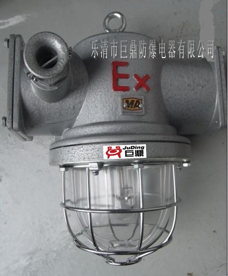DGS70/127N礦用隔爆型鈉燈，礦用防水鈉燈，礦用高壓鈉燈，70W礦用鈉燈