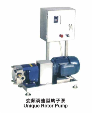 供應變頻調(diào)速型轉(zhuǎn)子泵