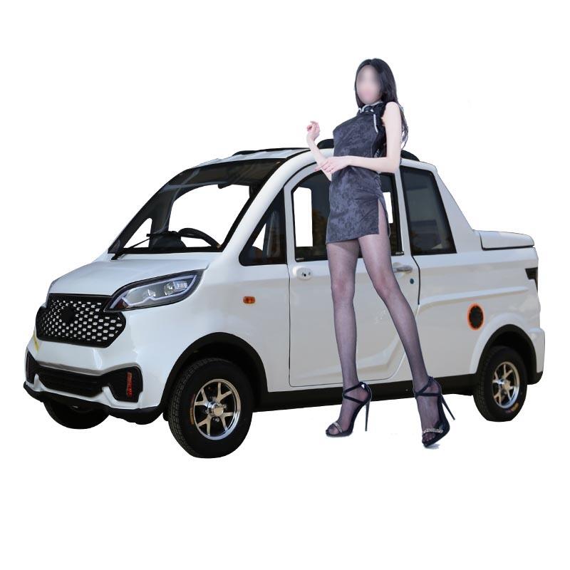陸鳴威電動(dòng)車 新能源電動(dòng)車 電動(dòng)貨車 漁友可用 有點(diǎn)兩用