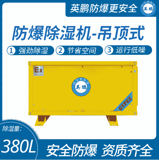 工業(yè)防爆吊高式抽濕機(jī)廠家