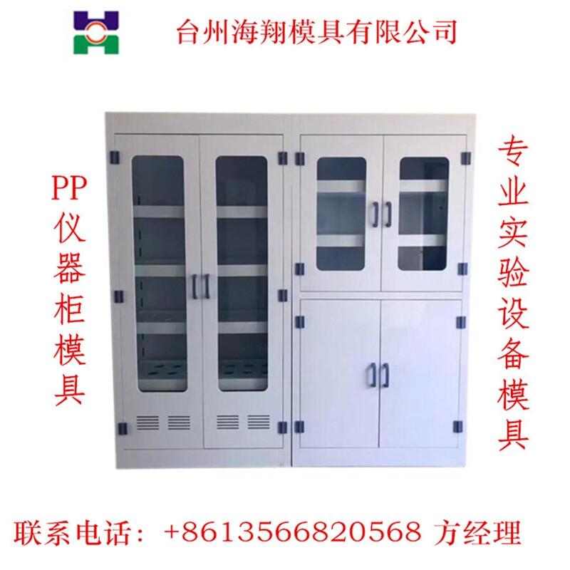 專業(yè)PP儀器柜模具