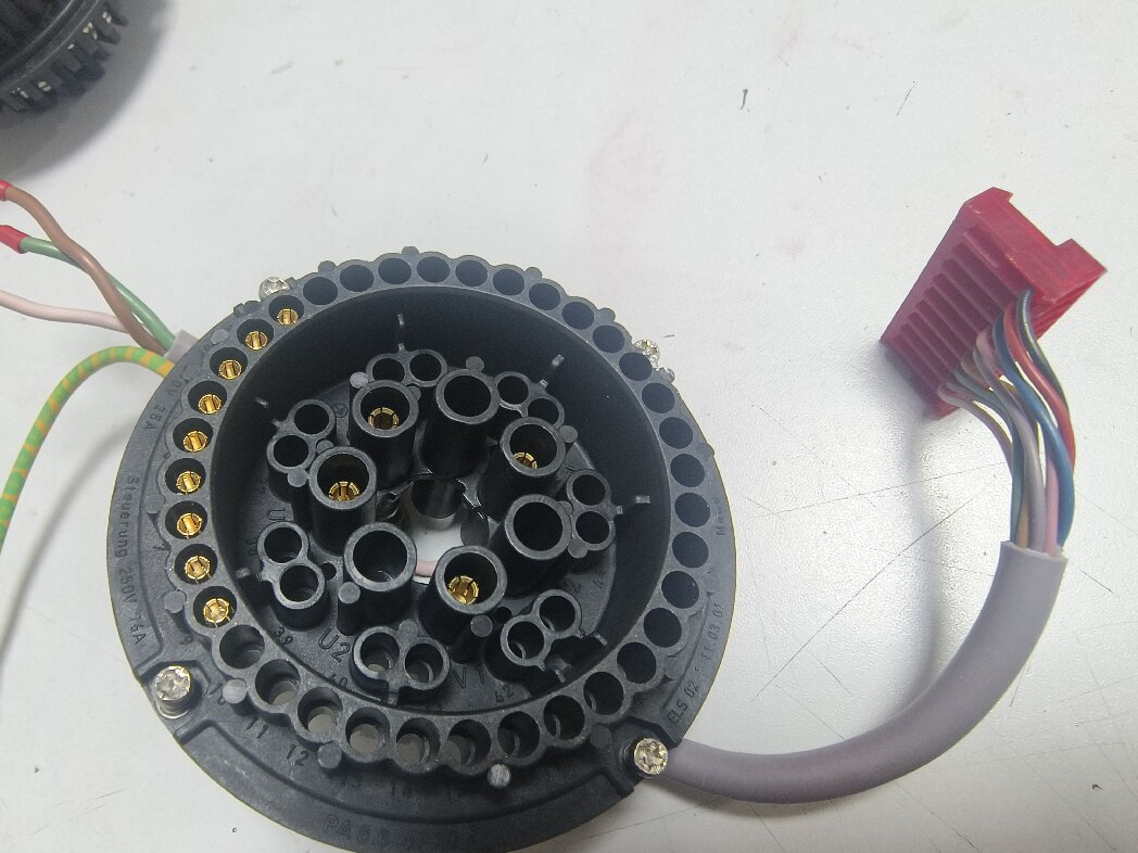 瑗垮崥鎬�5绯诲師瑁濋€插彛钁佃姳鎺ョ窔绔瓙