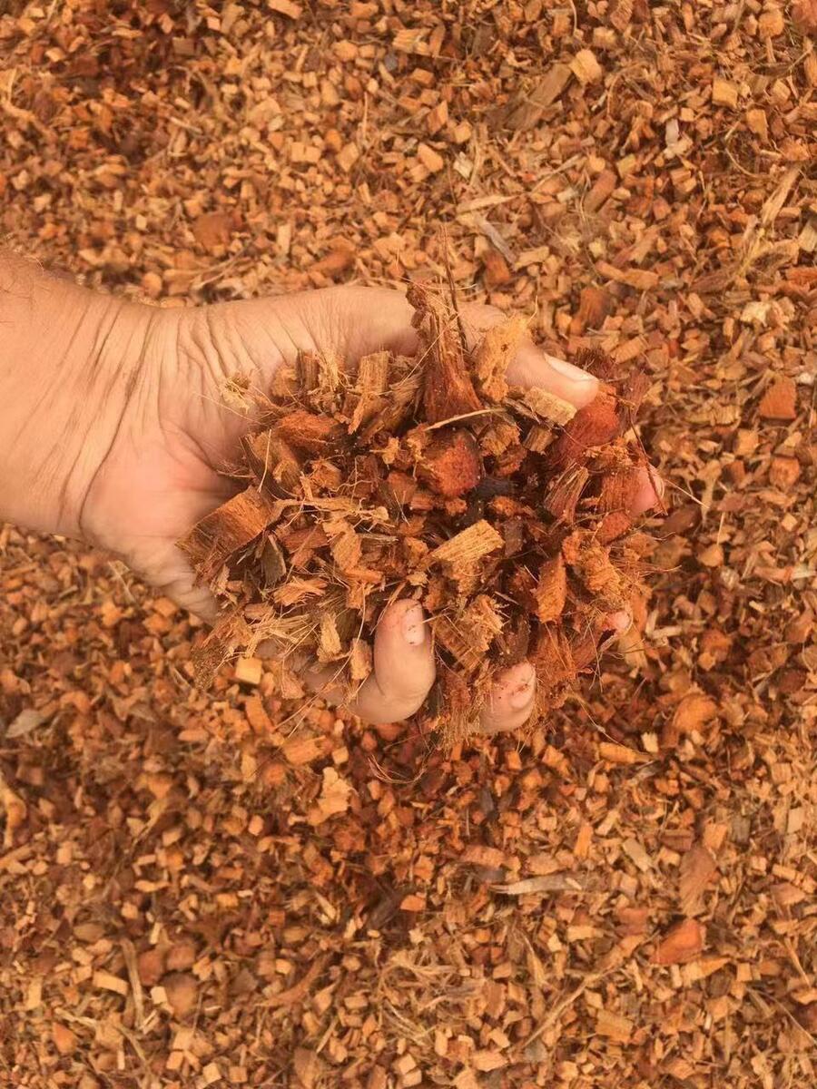 盆栽藍(lán)莓用的印度進(jìn)口脫鹽椰殼磚和椰糠磚