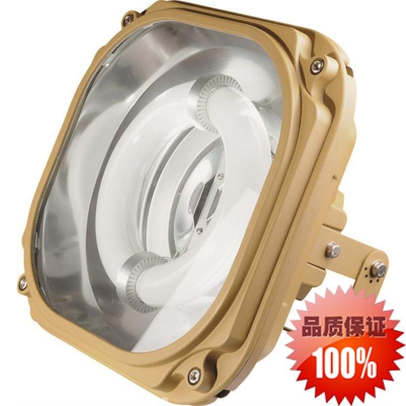 廠家直銷BZD-03 防爆免維護(hù)低碳無極燈120W-150W 防爆無極燈 低碳無極燈
