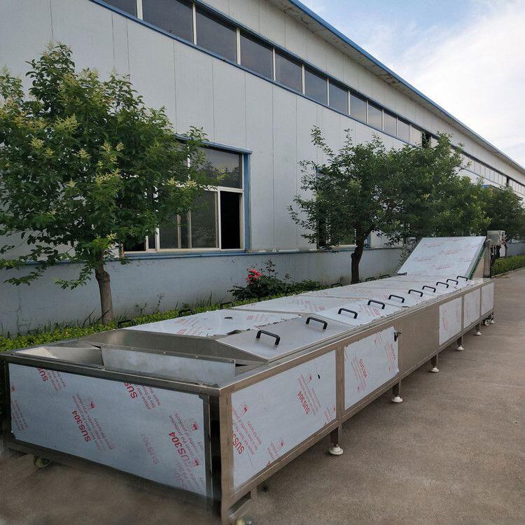 辣椒清洗設(shè)備 辣椒氣泡清洗設(shè)備 辣椒清洗線