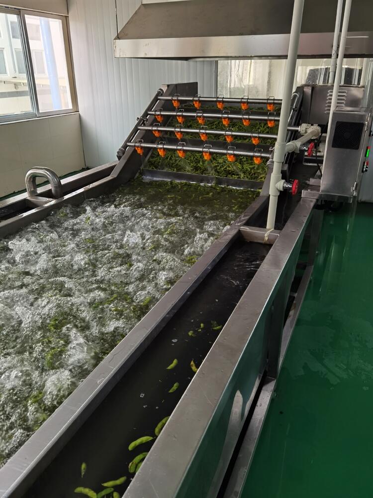 毛豆清洗設備 毛豆氣泡清洗機 毛豆清洗流水線