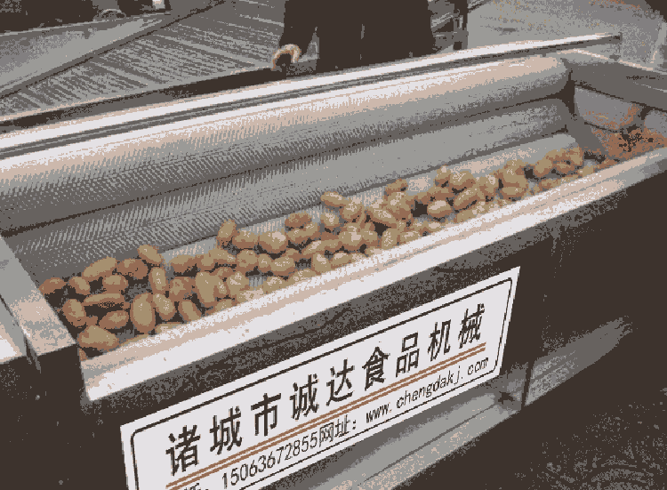 多功能土豆清洗機(jī) 土豆清洗機(jī)器 土豆清洗設(shè)備