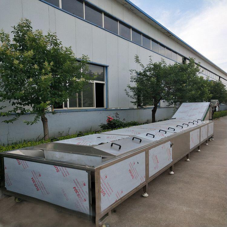 西蘭花清洗設(shè)備 西蘭花清洗機器 西蘭花清洗線