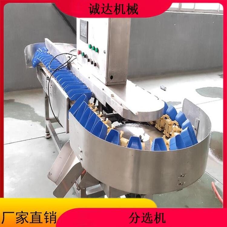 牡蠣重量分選機  海參重量分選機  水產(chǎn)品重量分選機