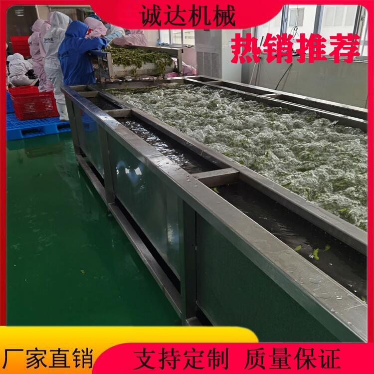 大棗清洗機器 大棗滾筒清洗設備 大棗氣泡清洗設備