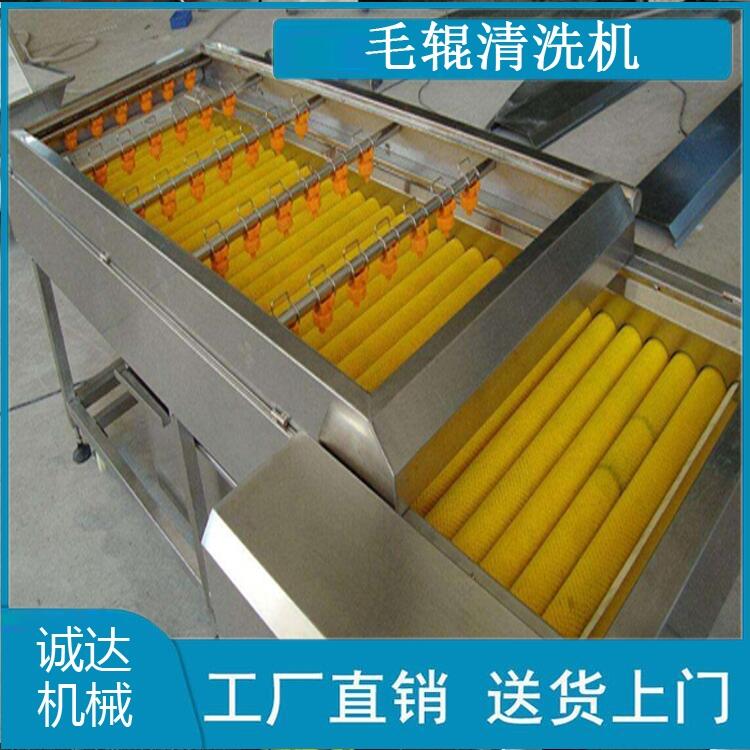 蓮藕毛輥清洗機(jī)器 蓮藕氣泡清洗機(jī)器
