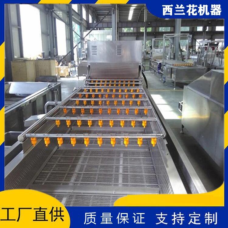 西蘭花加工設備 大型西蘭花清洗機器 西蘭花清洗流水線