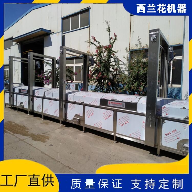 速凍西蘭花清洗機(jī)器 西蘭花清洗流水線(xiàn) 西蘭花清洗設(shè)備