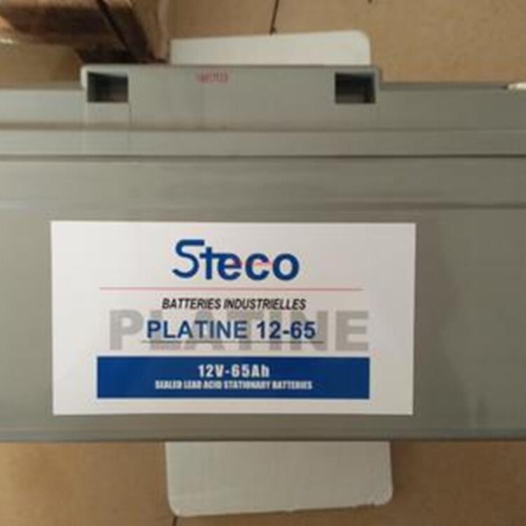 廠家直供時(shí)高蓄電池12v100ah規(guī)格參數(shù)免維護(hù)