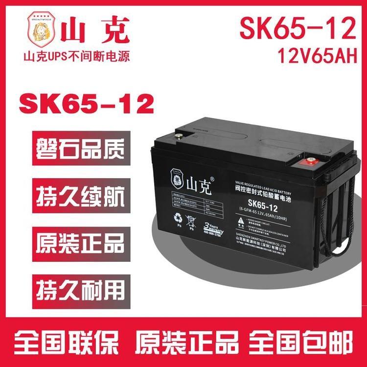 山克蓄電池12v120ah電力專用