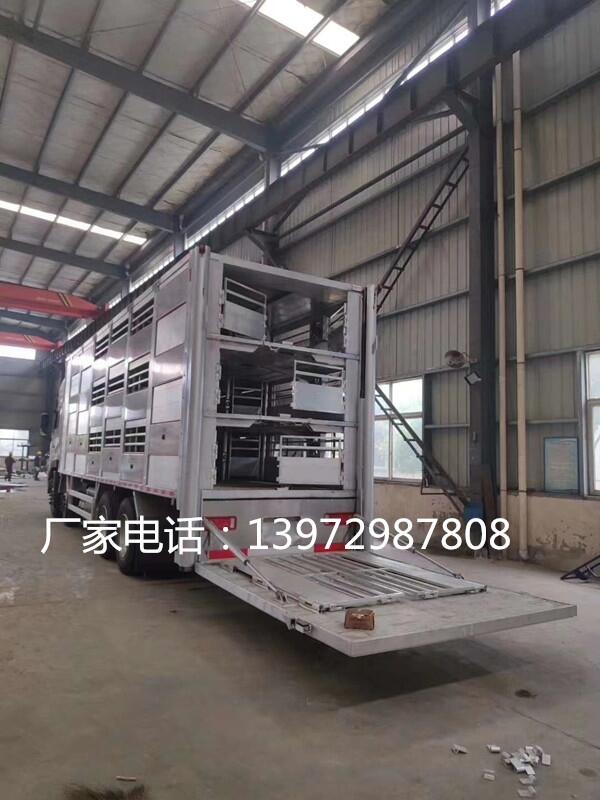 河北散裝飼料運輸車，河北種豬苗雛禽運豬車