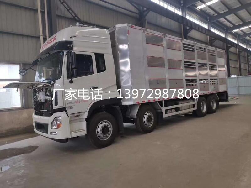 廣西散裝飼料運輸車，賀州種豬苗雛禽運豬車