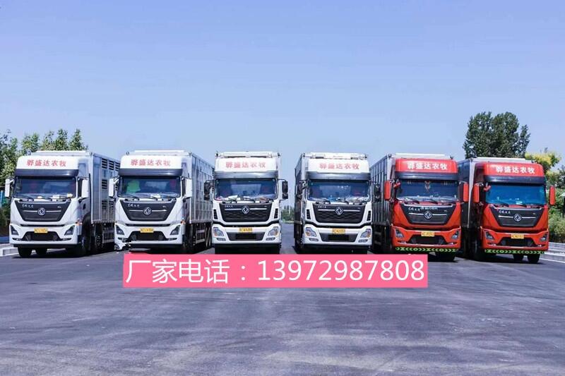 散裝飼料運輸車，種豬苗雛禽運豬車，飼料車