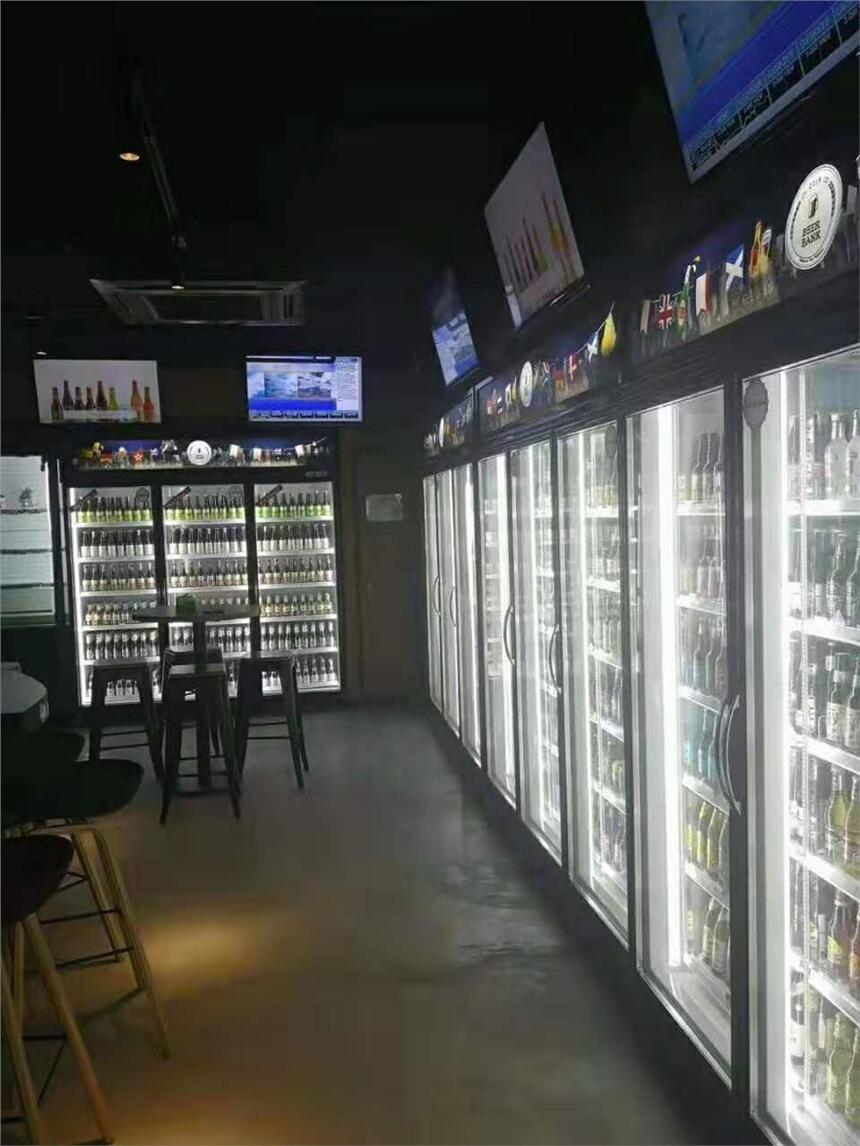 平頂山前后門飲料柜后補式冷柜超市冰柜冰箱