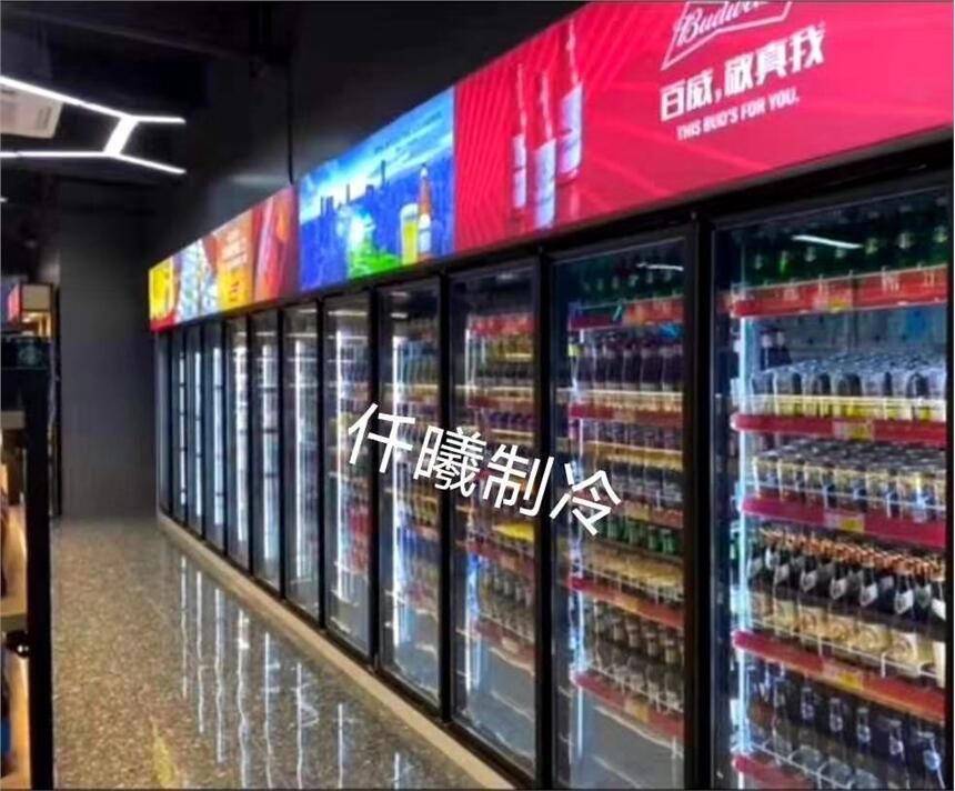 電加熱玻璃門冷庫電除霧后補式冷庫