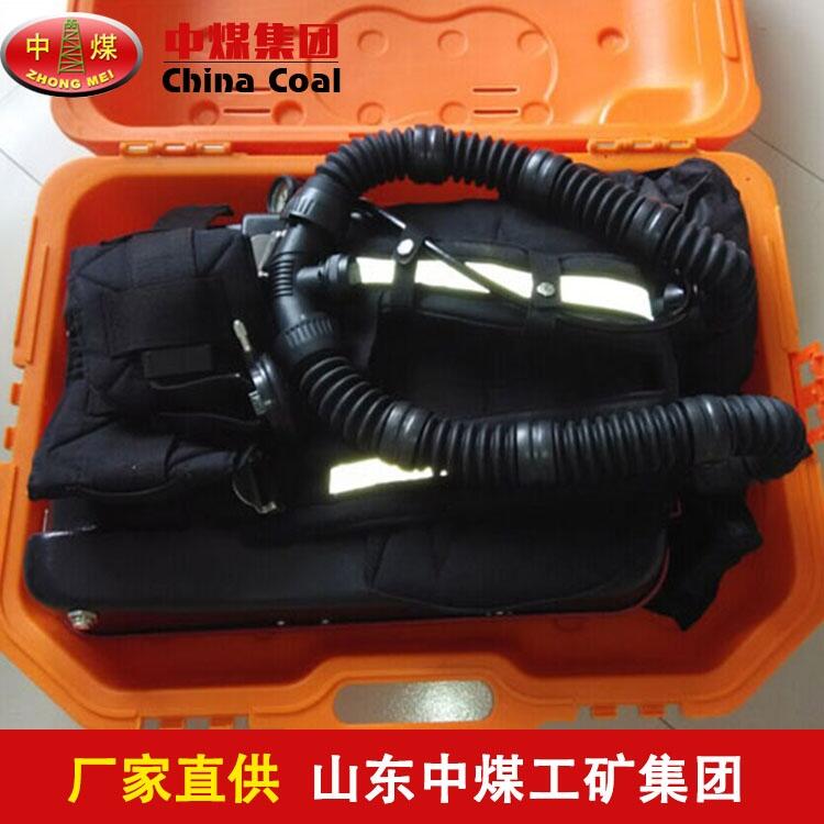 艙室氧氣呼吸器尺寸 艙室氧氣呼吸器生產(chǎn)