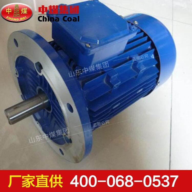 DSB系列隔爆型三相異步電機 材質(zhì),DSB系列隔爆型三相異步電機