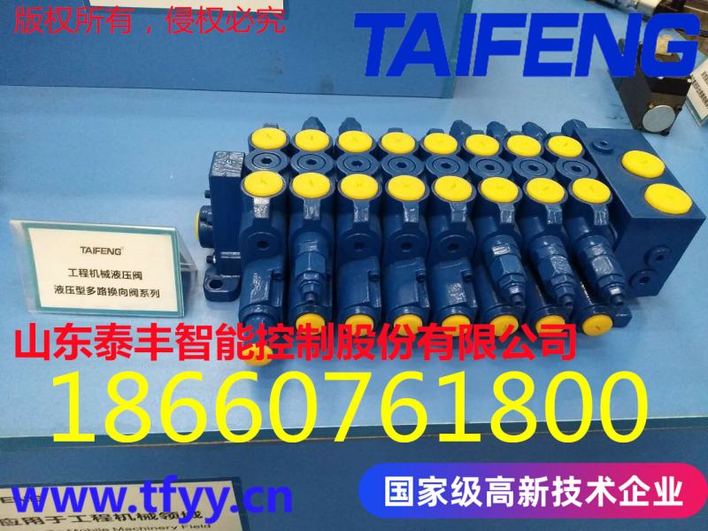 泰豐廠家供應(yīng)TRM20-BX-02-JX-01多路閥現(xiàn)貨